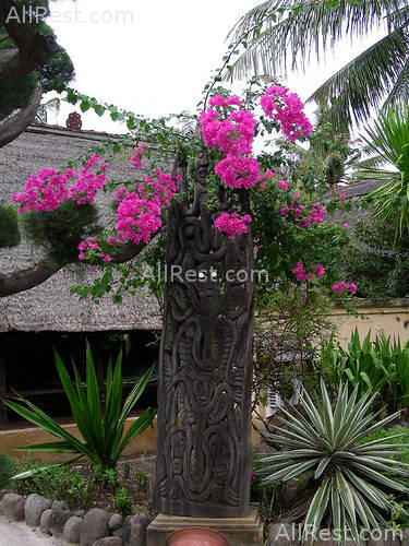 Hotel Vila Ombak 5